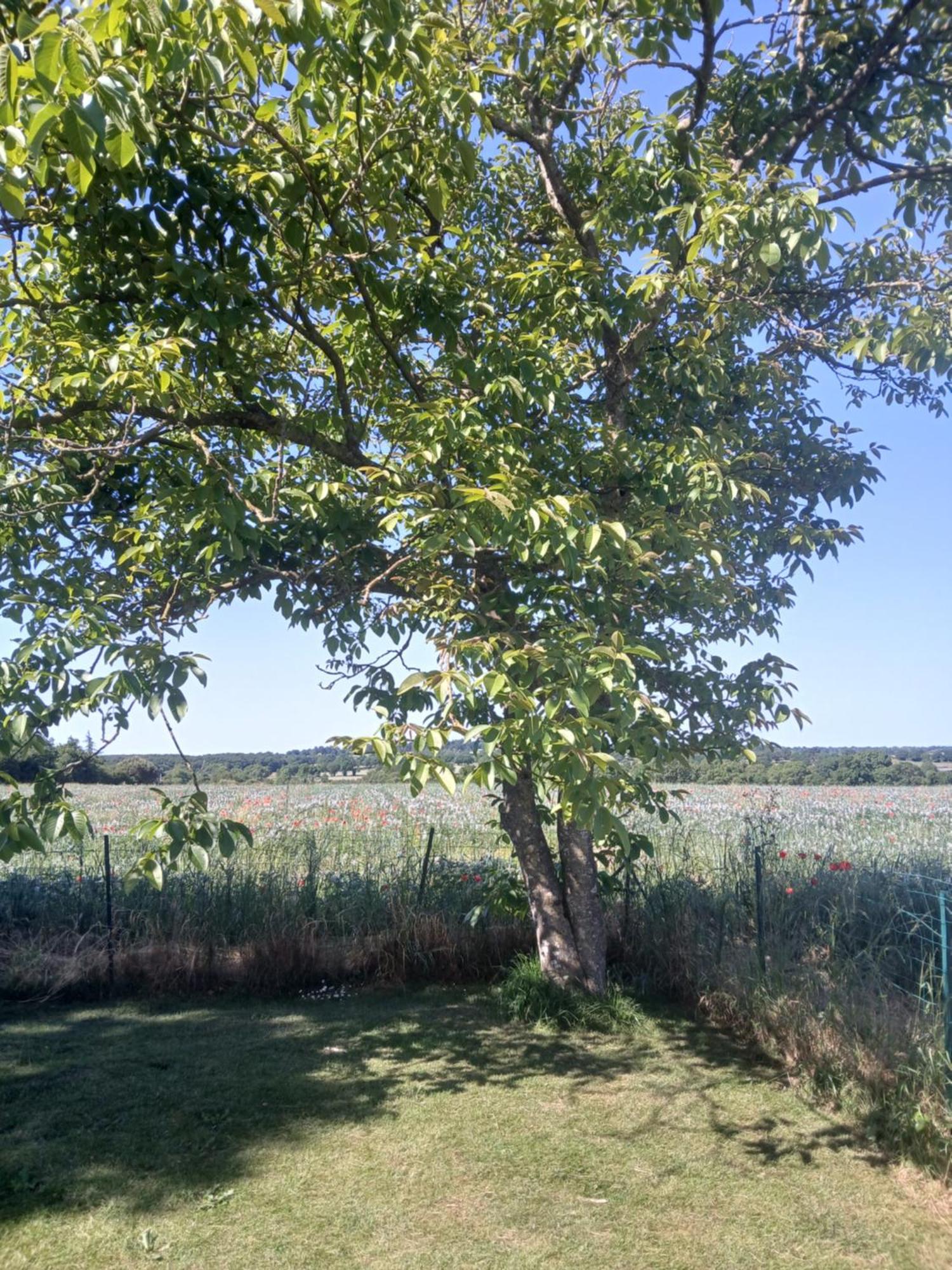 Chez Juliette Mauleon