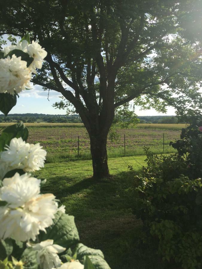 Holiday home Chez Juliette Mauleon